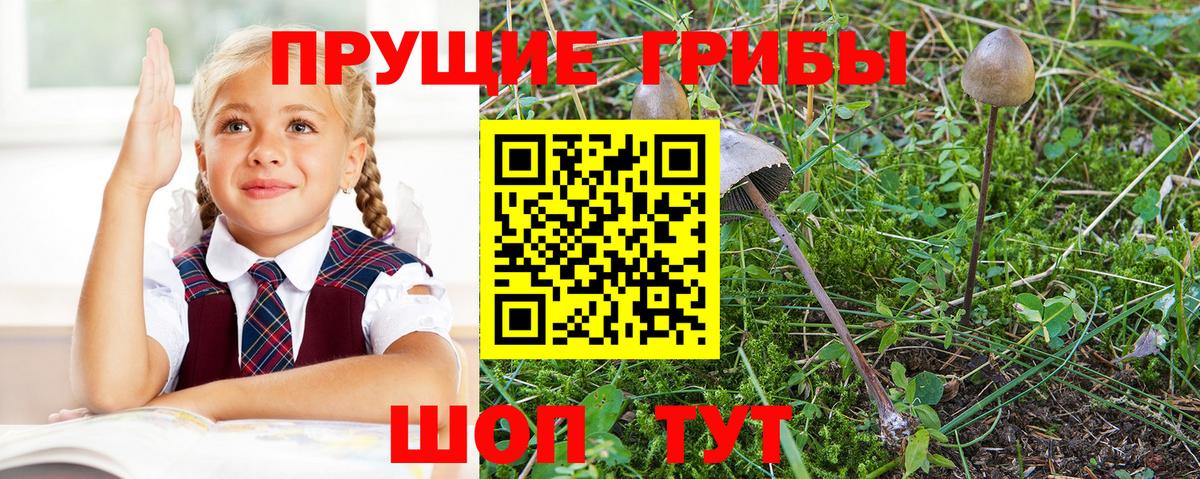 Псилоцибиновые грибы ЛСД  Вход с VPN  Галлюциногенные грибы MAGIC MUSHROOMS  Можайск 