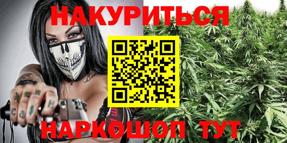 Конопля планчик Можайск